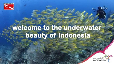dive-indonesia.co.id
